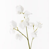 White real-touch sweet pea spray | Sonder + Stone Boutique
