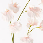 Soft Pink real-touch sweet pea spray alt view 2