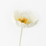 White Iceland poppy stem | Sonder + Stone Boutique