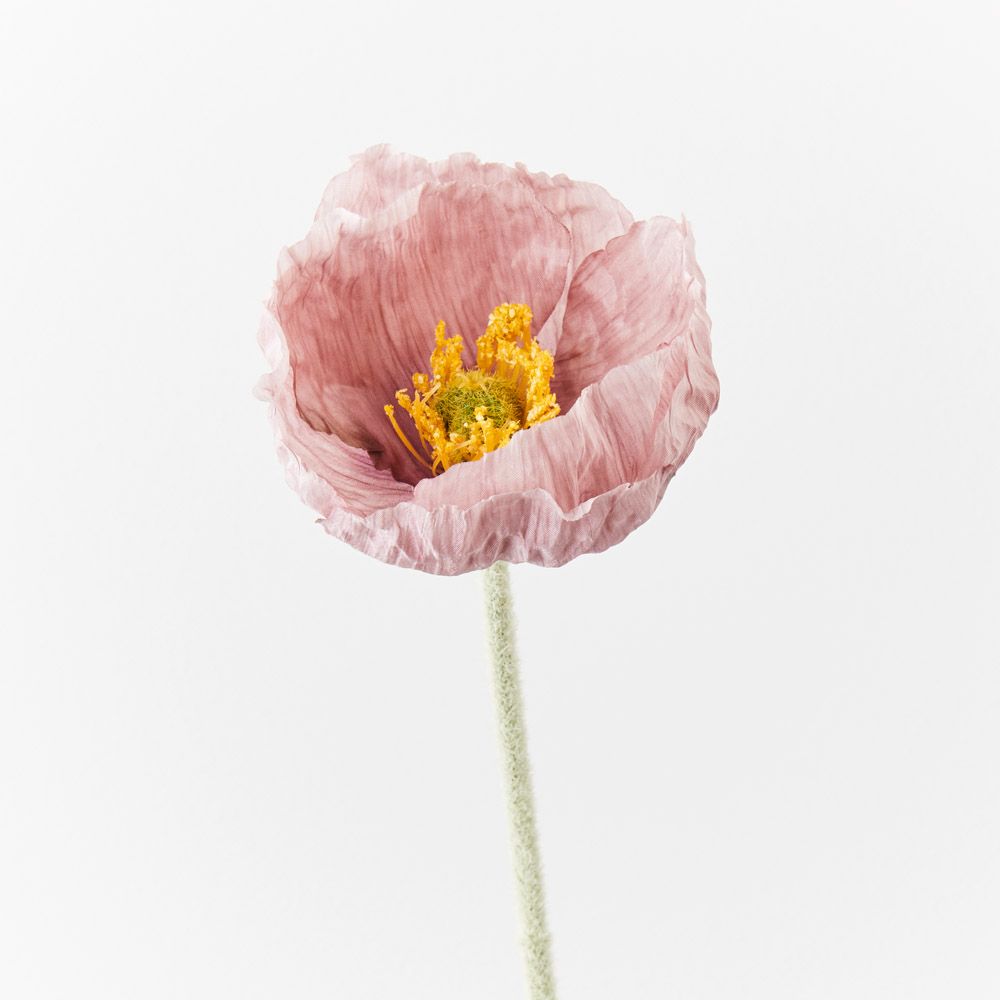 Lavender Iceland poppy stem | Sonder + Stone Boutique