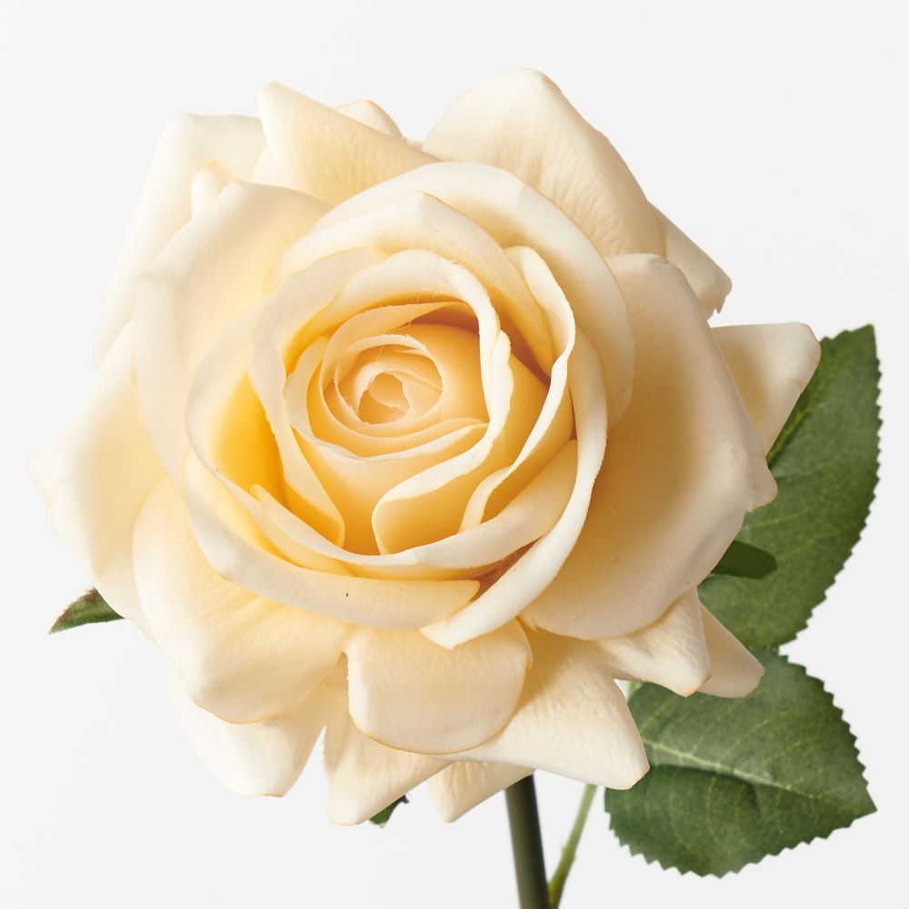 Butter real-touch rose stem alt view 2
