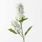 White cone hydrangea spray | Sonder + Stone Boutique