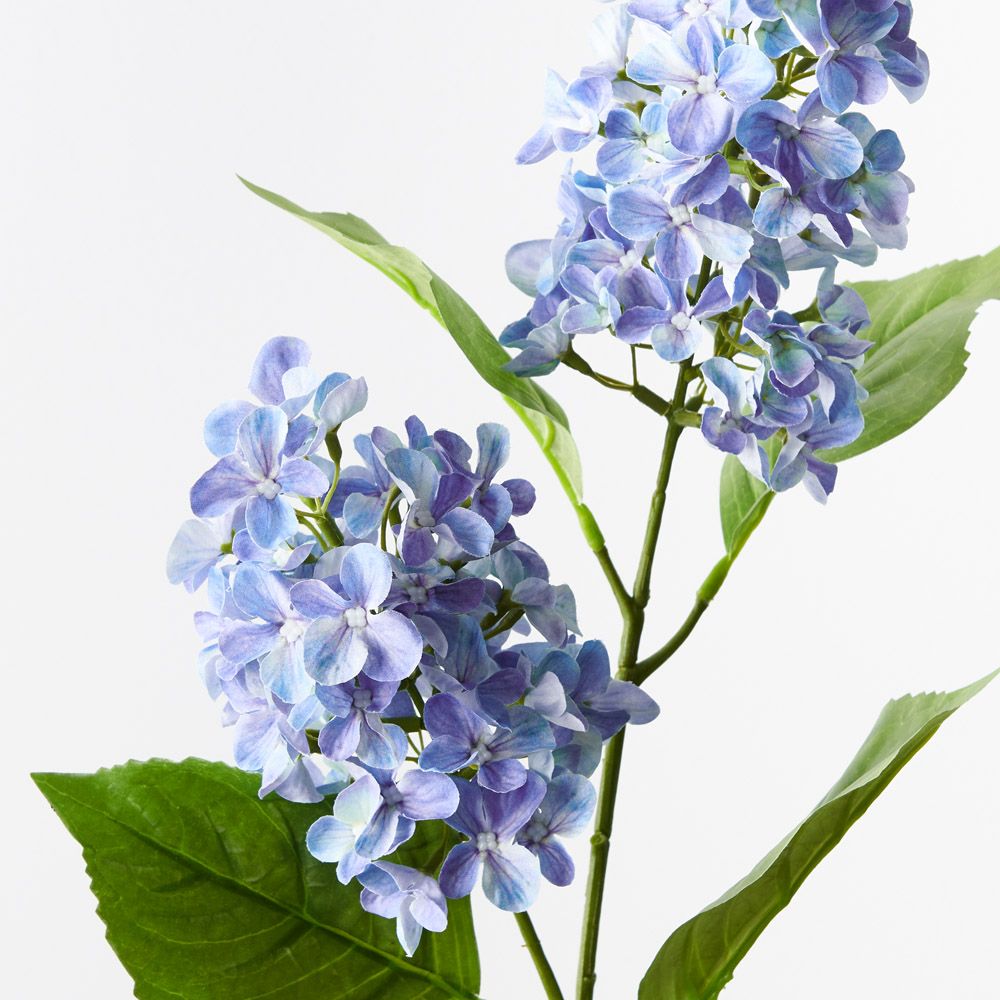 Blue cone hydrangea spray alt view 2