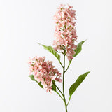 Coral cone hydrangea spray | Sonder + Stone Boutique
