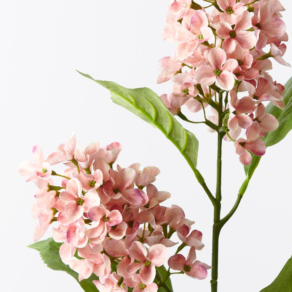 Coral cone hydrangea spray alt view 2