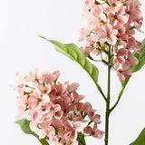 Coral cone hydrangea spray alt view 2