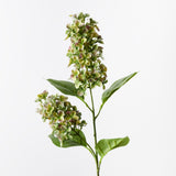 Green Purple cone hydrangea spray | Sonder + Stone Boutique