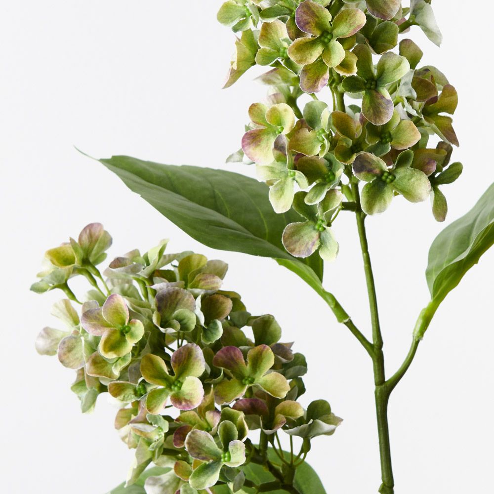 Green Purple cone hydrangea spray alt view 2