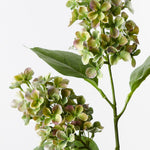Green Purple cone hydrangea spray alt view 2