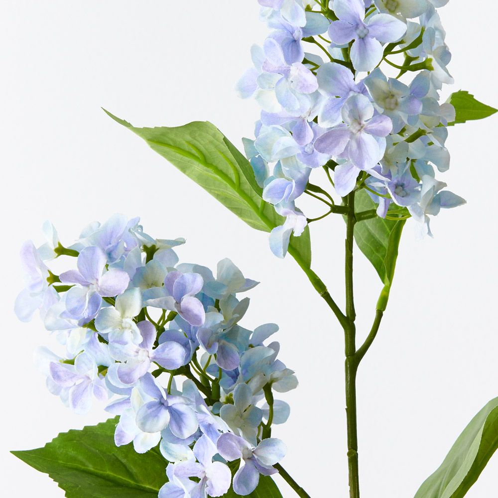 Light Blue cone hydrangea spray alt view 2