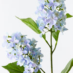 Light Blue cone hydrangea spray alt view 2