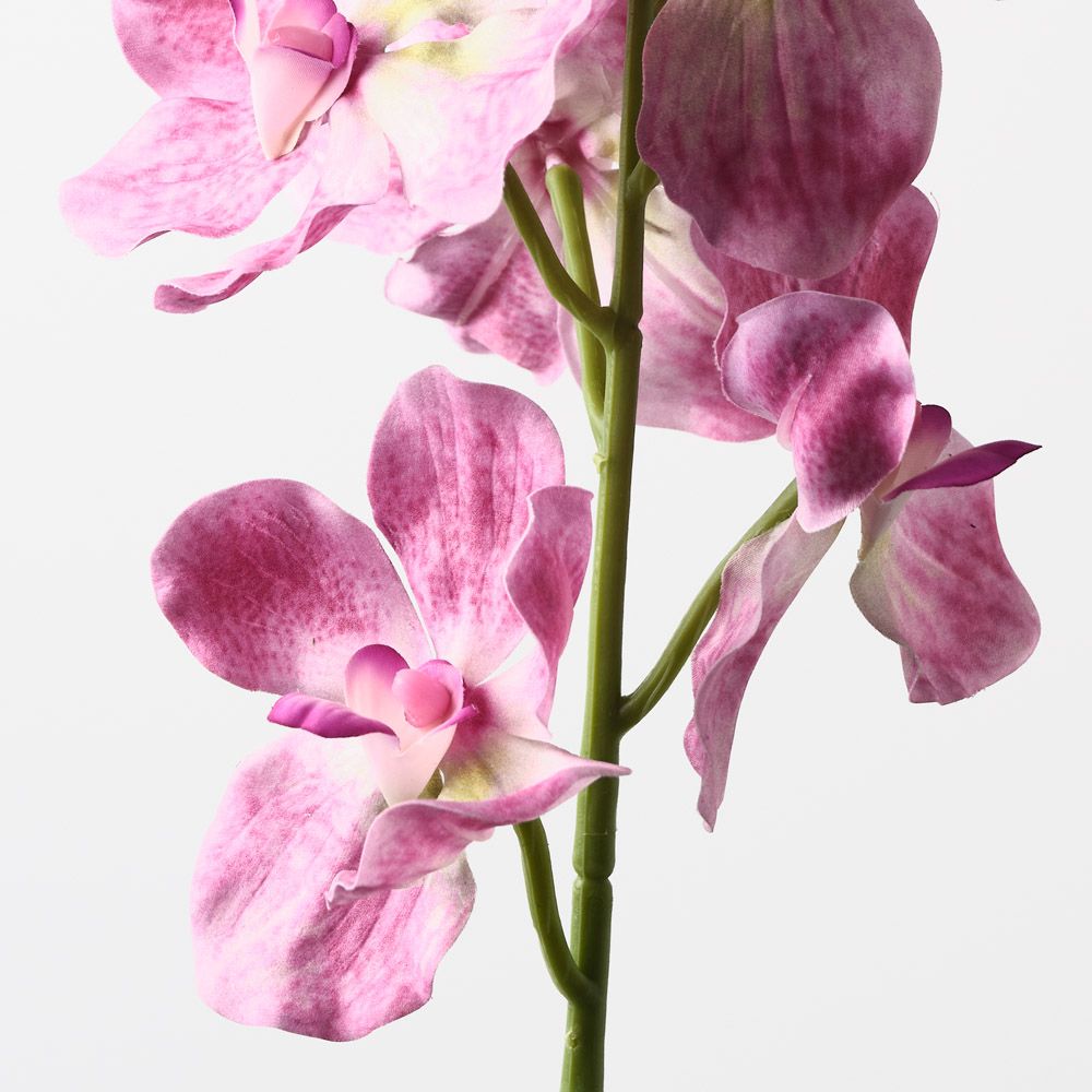 Hot Pink real-touch vanda orchid alt view 2