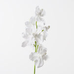 White real-touch vanda orchid | Sonder + Stone Boutique