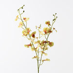 Green real-touch dancing orchid | Sonder + Stone Boutique