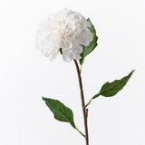 White real-touch pom pom dahlia | Sonder + Stone Boutique