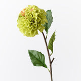 Green real-touch pom pom dahlia | Sonder + Stone Boutique