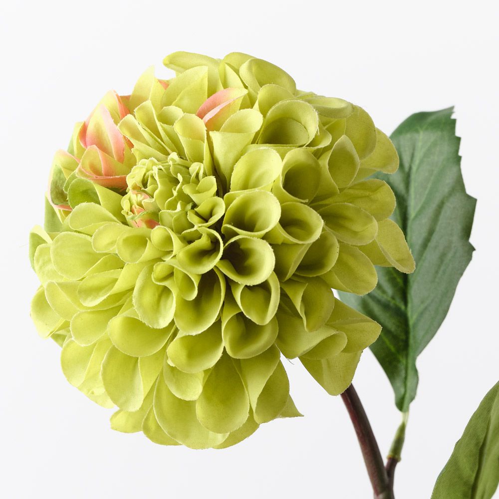 Green real-touch pom pom dahlia alt view 2