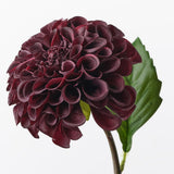 Black Plum real-touch pom pom dahlia alt view 2