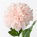 Soft Pink real-touch large pom pom dahlia alt view 2