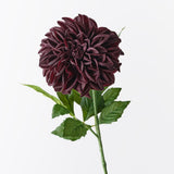 Black Plum real-touch large pom pom dahlia | Sonder + Stone Boutique