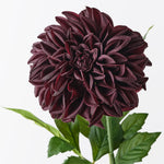 Black Plum real-touch large pom pom dahlia alt view 2