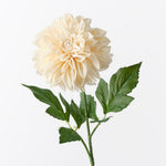 Cream real-touch large pom pom dahlia | Sonder + Stone Boutique