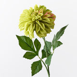Green real-touch large pom pom dahlia | Sonder + Stone Boutique