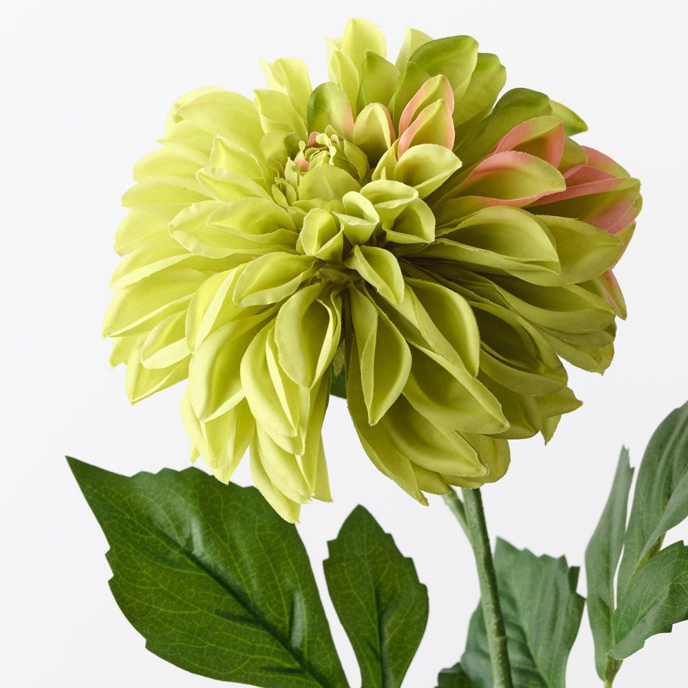 Green real-touch large pom pom dahlia alt view 2