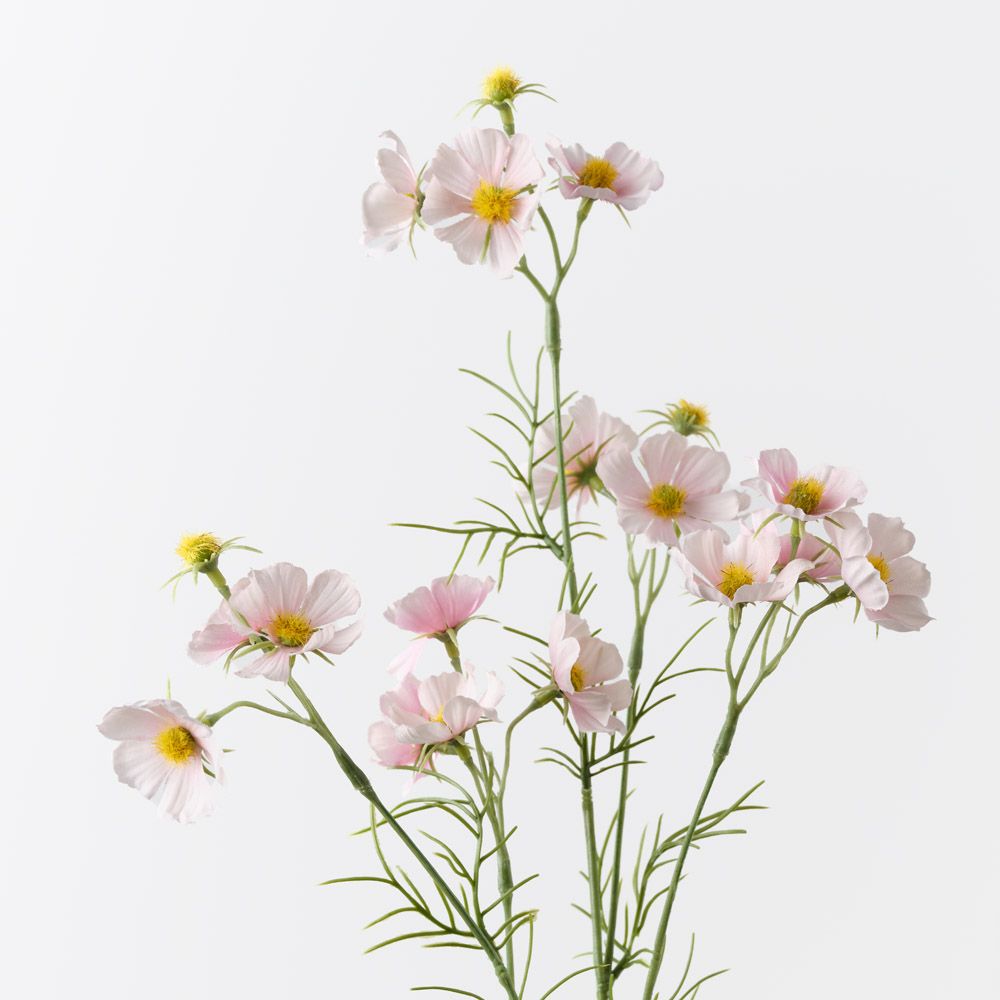 Light Pink cosmos mini spray | Sonder + Stone Boutique