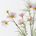 Light Pink cosmos mini spray alt view 2