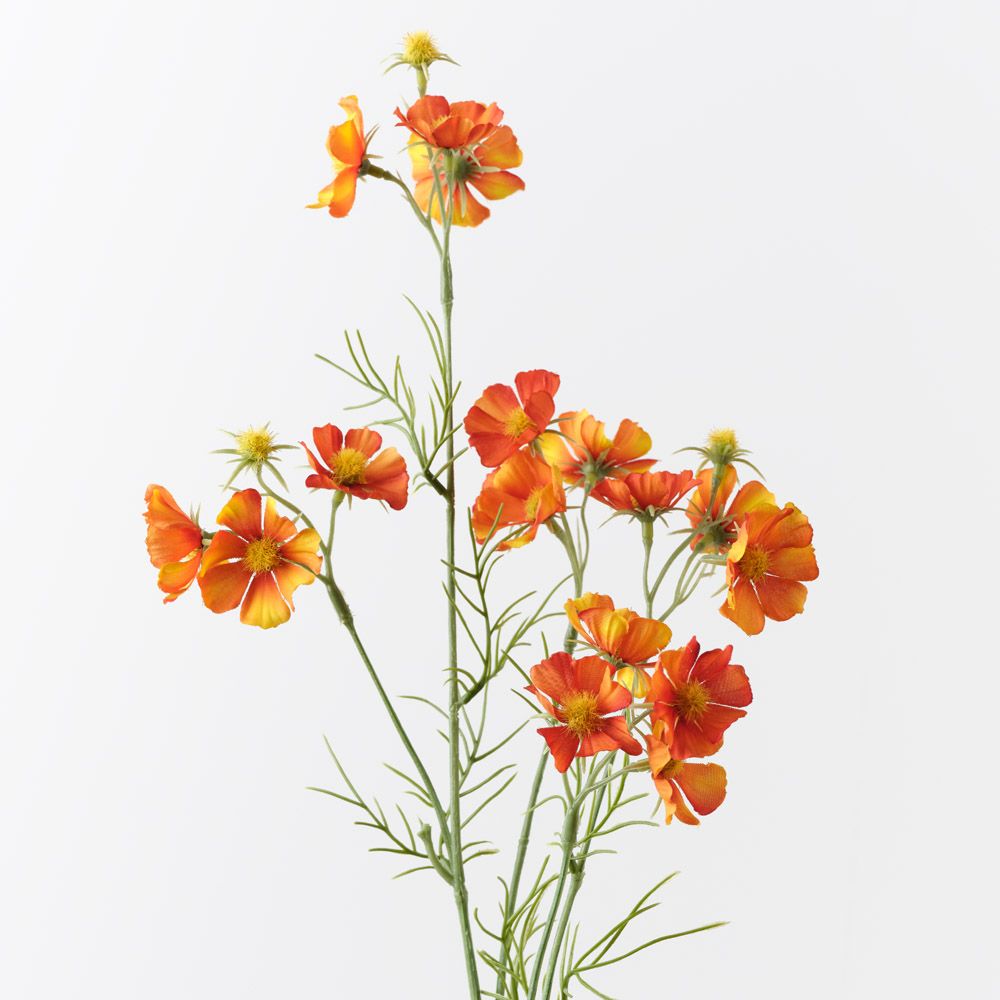 Orange cosmos mini spray | Sonder + Stone Boutique