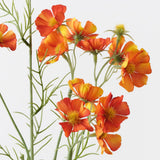 Orange cosmos mini spray alt view 2