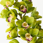 Green real-touch cymbidium orchid alt view 2