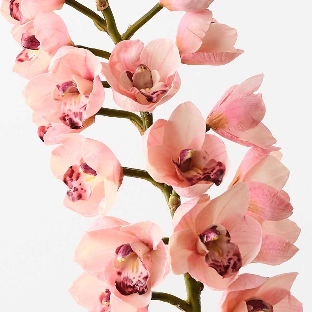 Light Pink real-touch cymbidium orchid alt view 2