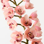 Light Pink real-touch cymbidium orchid alt view 2
