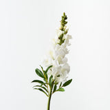White real-touch snapdragon stem | Sonder + Stone Boutique