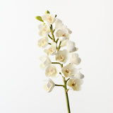 White real-touch cymbidium orchid | Sonder + Stone Boutique