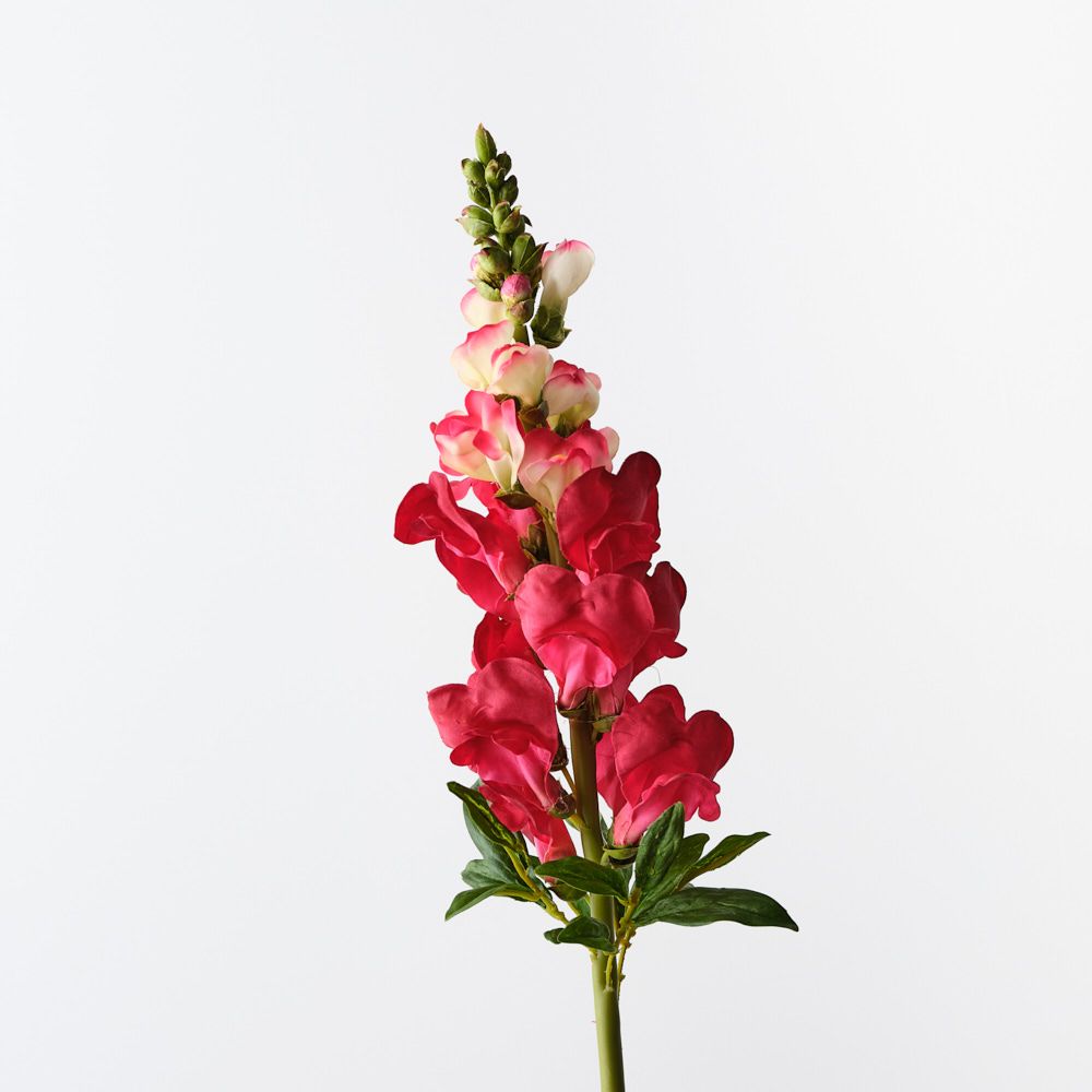 Watermelon real-touch snapdragon stem | Sonder + Stone Boutique