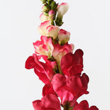 Watermelon real-touch snapdragon stem alt view 2