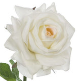 Ivory real-touch rose stem alt view 2