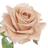 Blush real-touch rose stem alt view 2