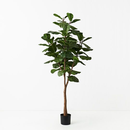 Artificial Fiddle Leaf Tree