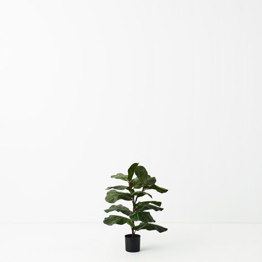 Artificial Fiddle Leaf Tree