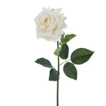 Ivory real-touch rose stem | Sonder + Stone Boutique