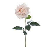 Soft Pink real-touch rose stem | Sonder + Stone Boutique