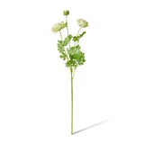 Green real-touch ranunculus spray 64cm | Sonder + Stone Boutique