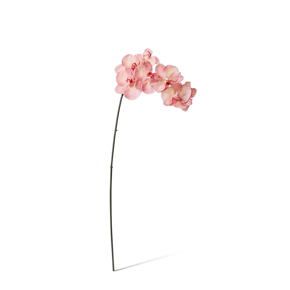 Pink real-touch phalaenopsis orchid 95cm | Sonder + Stone Boutique