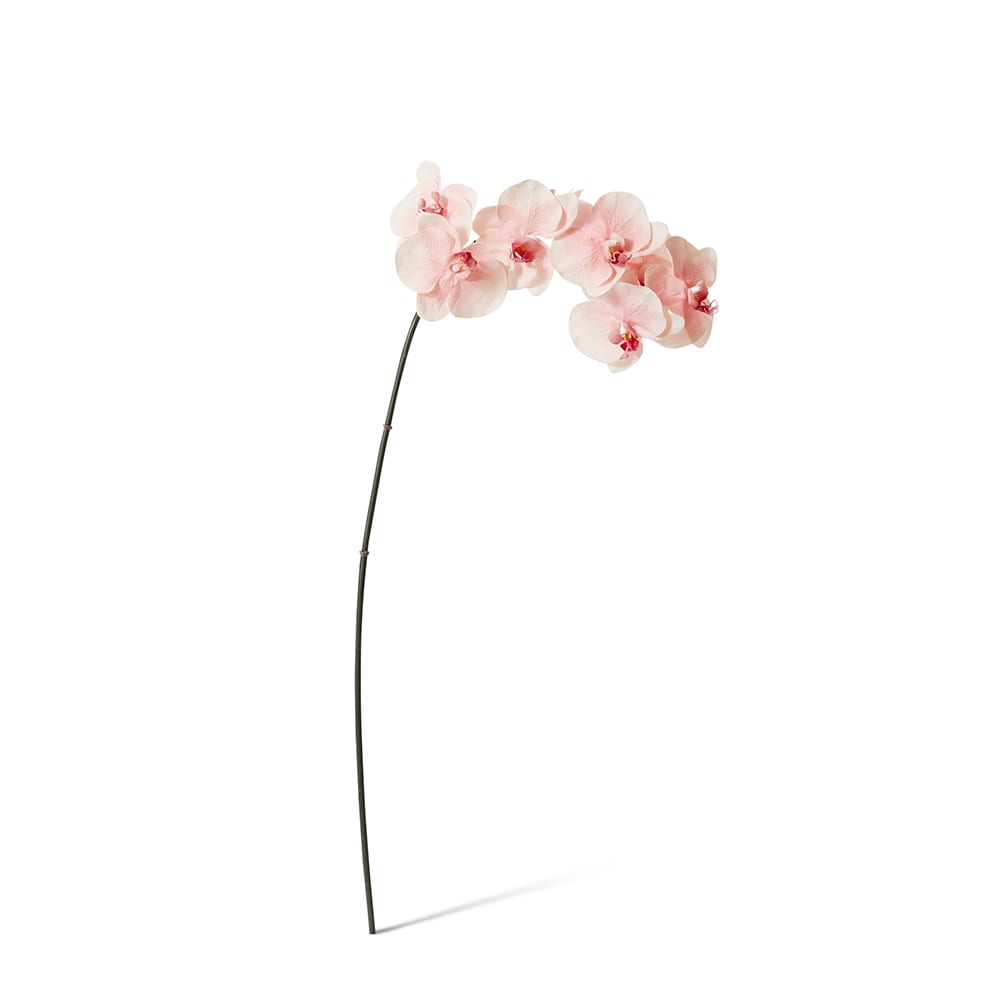 Soft Pink real-touch phalaenopsis orchid 95cm | Sonder + Stone Boutique