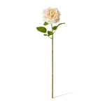 Champagne real-touch Austin rose stem | Sonder + Stone Boutique
