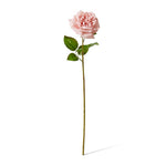 Dusty Pink real-touch Austin rose stem | Sonder + Stone Boutique